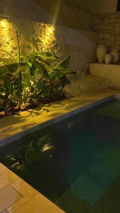 Oezel Havuzlu Kiralik Tas Kuşadası